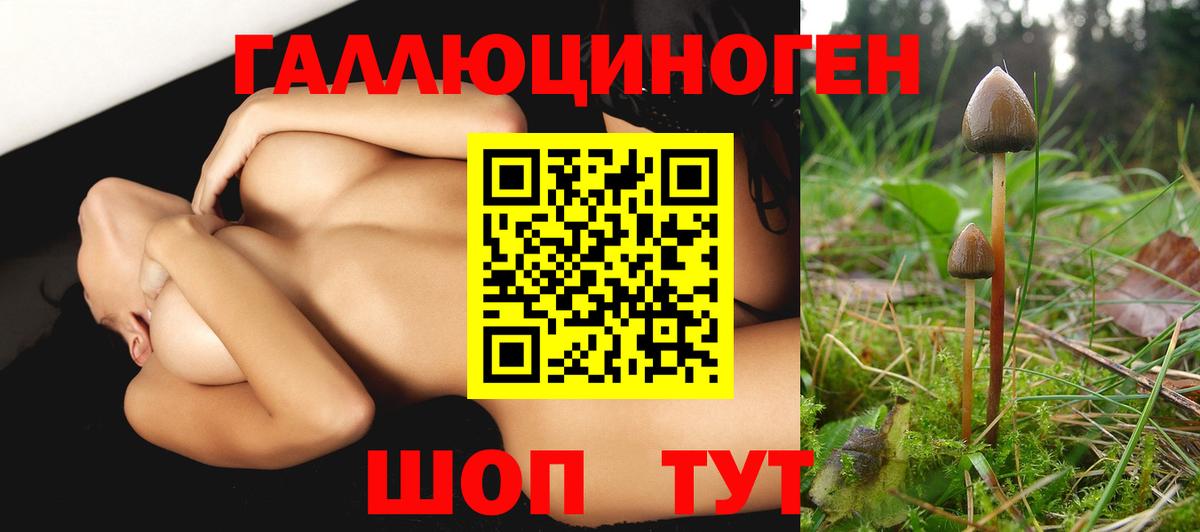 Галлюциногенные грибы Magic Shrooms Жигулёвск